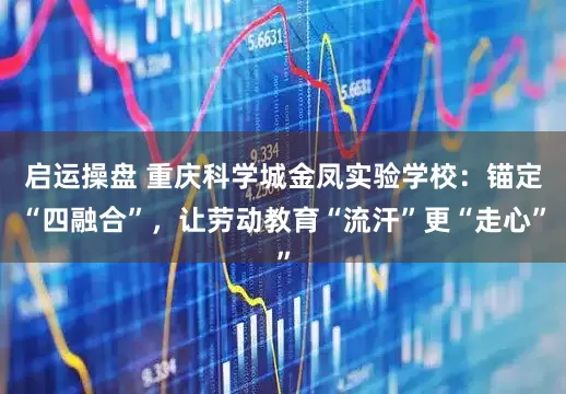 启运操盘 重庆科学城金凤实验学校：锚定“四融合”，让劳动教育“流汗”更“走心”