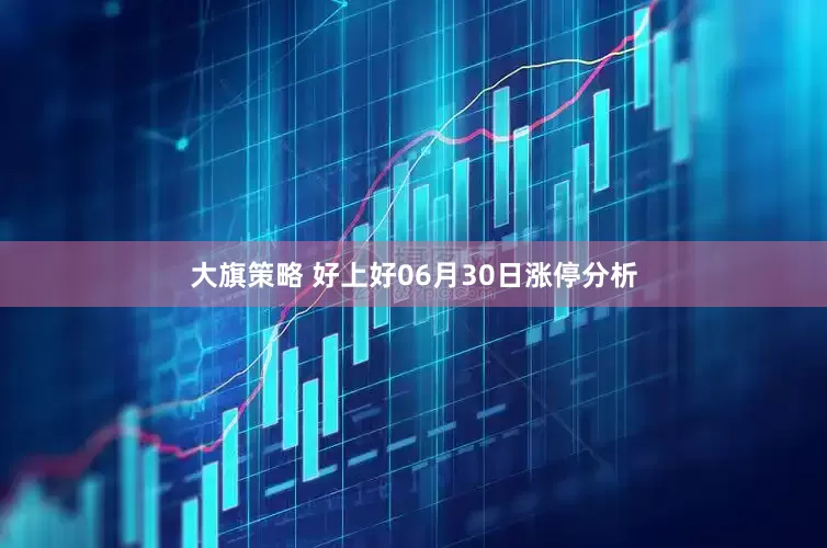 大旗策略 好上好06月30日涨停分析