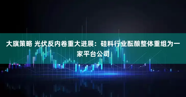 大旗策略 光伏反内卷重大进展：硅料行业酝酿整体重组为一家平台公司